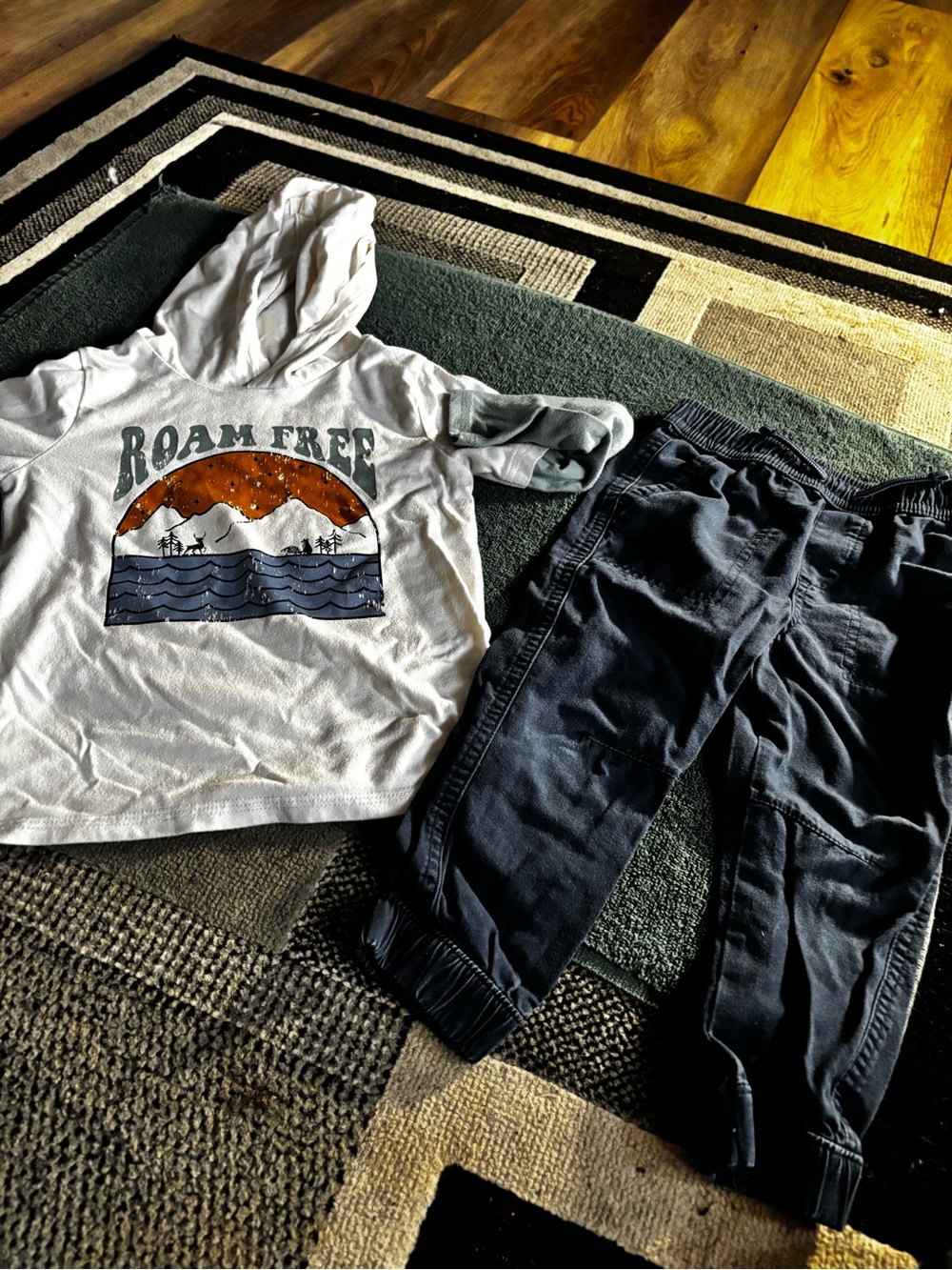 Garanimals White 'Roam Free' Graphic Hoodie with Navy Joggers
